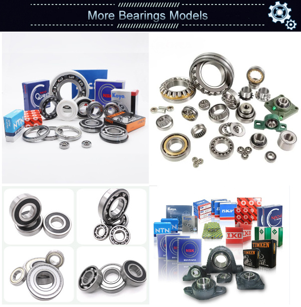 Ceramic Ball Bearing/Ceramic Deep Groove Ball Bearings