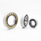 Electrically Insulated Bearings with Long Service Life Auto Parts Nu 1011 Ecp/C3vl0241