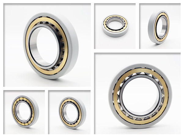 Insocoat Electrically Insulated Cylindrical Rolling Bearings Nu 317 Ecm/C3vl0241