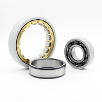 Electrically Insulated Bearings with Long Service Life Auto Parts Nu 1011 Ecp/C3vl0241