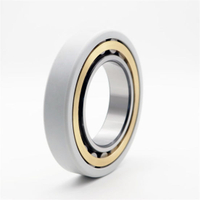 Motorcycle Parts of Electrical Insulation Deep Groove Ball Bearings 6313m/C3vl0241