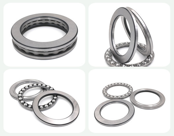 High Performance Single Row Thrust Ball Bearing 51113 for Mining/Mineral Processing/Cement Machine