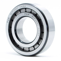 Sales Lead Bearing FAK Cylindrical Roller Bearing FC90110300