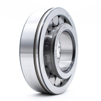 Discount Bearing FAK Cylindrical Roller Bearing NUP314N/C9SO