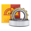 Chinese Manufacturer Bearing FAK Cylindrical Roller Bearing N313ETN1