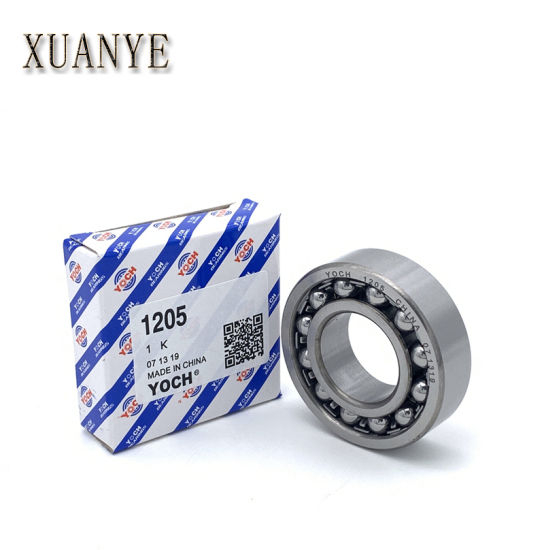 OEM Self-Aligning Ball Bearing 1200 1300 2200 2300 Series Auto Parts/Motorcycle Bearings