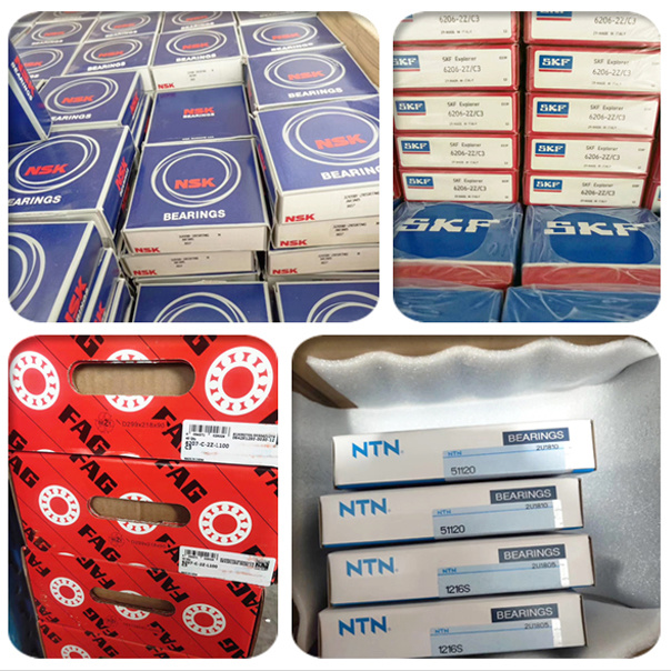 Electrically Insulated Bearings with Long Service Life Auto Parts Nu 1011 Ecp/C3vl0241