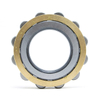 Discount Bearing FAK Cylindrical Roller Bearing RN206F1