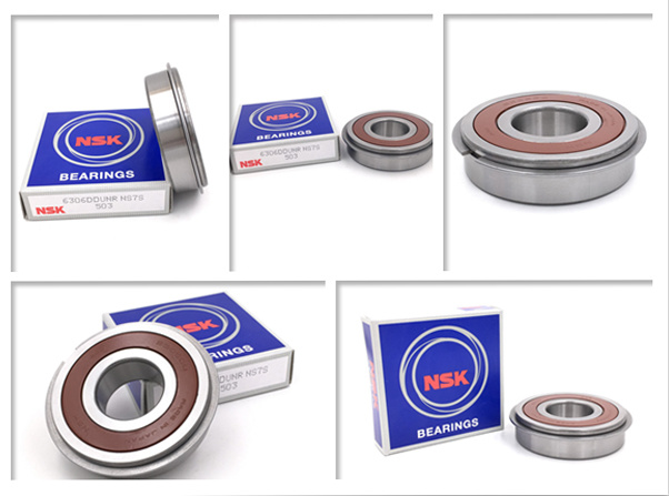 China Company Distributes NSK Deep Groove Ball Bearing with Spring Clip