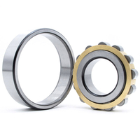 Discount Bearing FAK Cylindrical Roller Bearing N2320ETN1