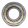 Chinese Manufacturer Bearing FAK Cylindrical Roller Bearing NJ248M