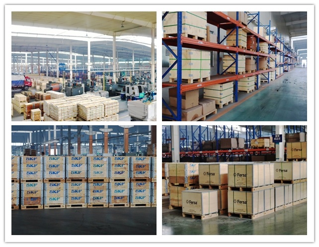 OEM High Standard Own Factory Autor Parts Needle/Combined Roller Bearing Rnav4003 Rnav4005 Rnav4007 Rnav4009 Rnav4011