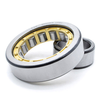 China Supplier Bearing FAK Cylindrical Roller Bearing NU2232EM+HJ2234