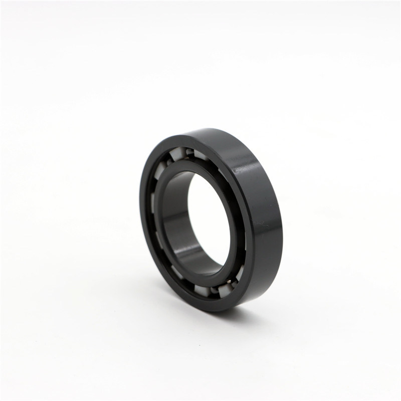 China Corrosion Resisting Bearing 6213ce for Plating Equipment/Chemical Engineering & Machinery