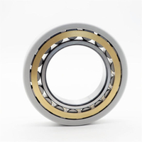 Chinese Manufacturers Make Electrically Insulated Bearings Nu 211 Ecm/C3vl0241