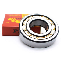 Hot Sale Bearing FAK Cylindrical Roller Bearing NUP417Q1/SO