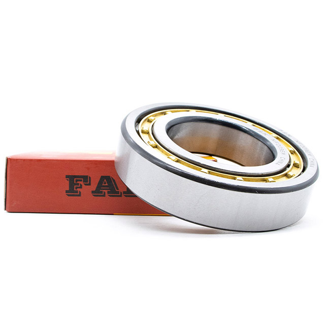 Durable Bearing FAK Cylindrical Roller Bearing NF311