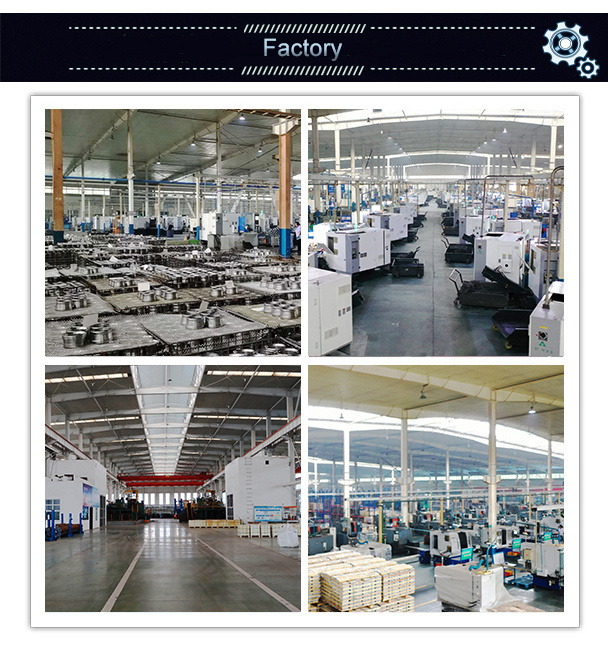 OEM High Standard Own Factory Autor Parts Needle/Combined Roller Bearing Rnav4003 Rnav4005 Rnav4007 Rnav4009 Rnav4011
