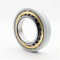 Chinese Manufacturers Make Electrically Insulated Bearings Nu 211 Ecm/C3vl0241