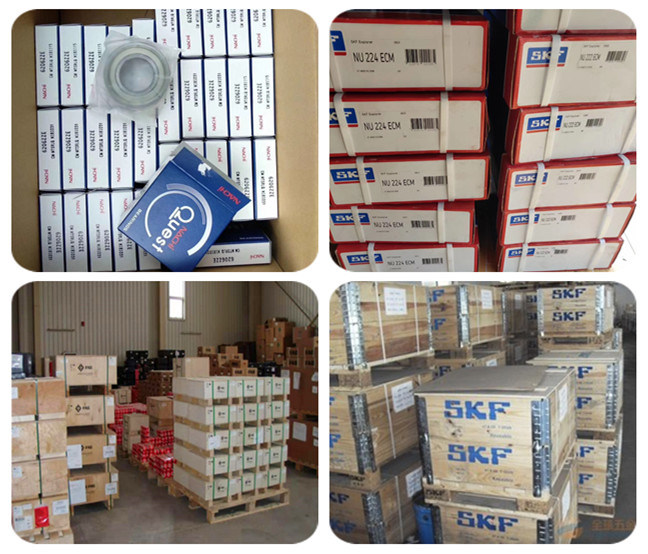 NTN/NSK/Koyo/NACHI Japan Bearing Distributor Supply Deep Groove Ball Bearing 6001 for Electric Motor