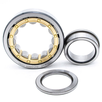 Hot Sale Bearing FAK Cylindrical Roller Bearing NUP417Q1/C9SO