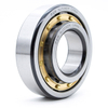 Chinese Manufacturer Bearing FAK Cylindrical Roller Bearing NJ248M