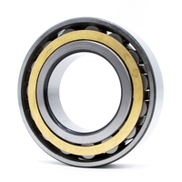 For Machinery Bearing FAK Cylindrical Roller Bearing NF307E/YB2