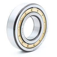 Long-Lived Bearing YOCH Cylindrical Roller Bearing NF209