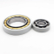 Insocoat Electrically Insulated Cylindrical Rolling Bearings Nu 317 Ecm/C3vl0241