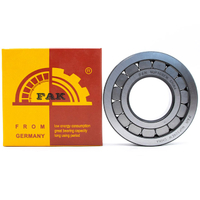 Sales Lead Bearing FAK Cylindrical Roller Bearing NUP2876/SO