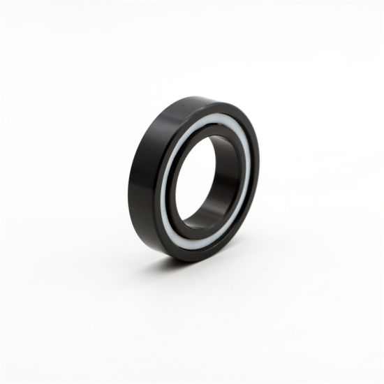 China Corrosion Resisting Bearing 6213ce for Plating Equipment/Chemical Engineering & Machinery