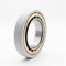 High Quality Electric Insulated Tapered Roller Bearings Nu 1019 Ml/C3vl0241 Are Used in Precision Instruments