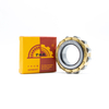China Supplier Bearing FAK Cylindrical Roller Bearing RN204