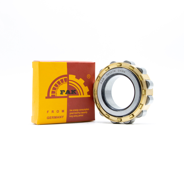 China Supplier Bearing FAK Cylindrical Roller Bearing RN204