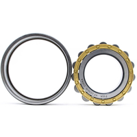 Discount Bearing FAK Cylindrical Roller Bearing NF211