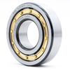 Chinese Manufacturer Bearing FAK Cylindrical Roller Bearing NJ248M