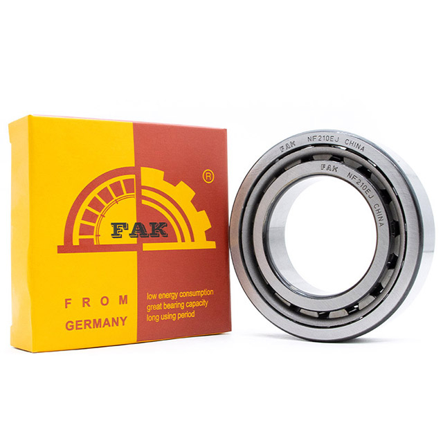 Original Bearing FAK Cylindrical Roller Bearing NFP38/630Q